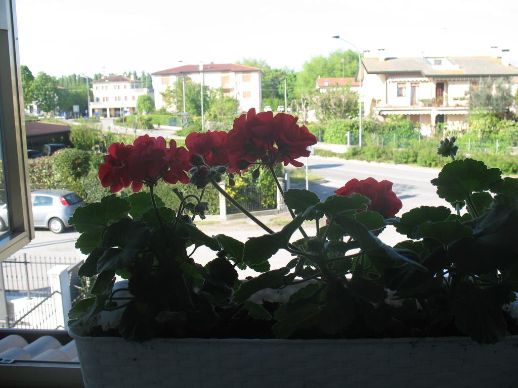 Laguna B&B Quarto dʼAltino Exteriör bild